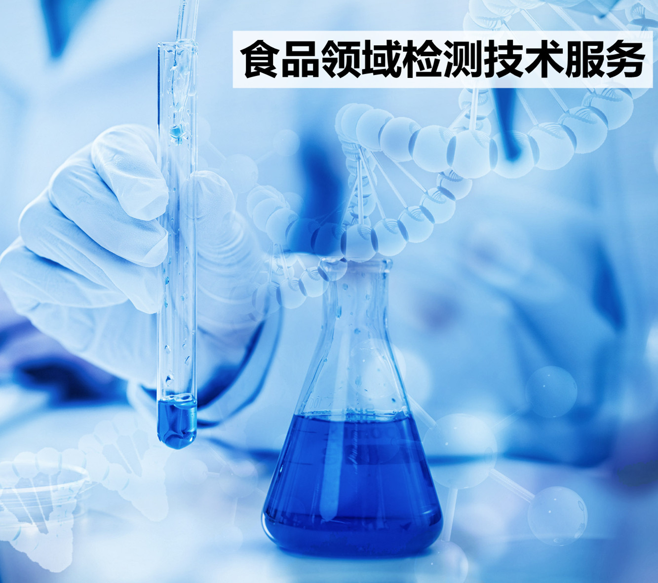 食品领域检测技术服务